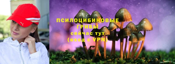 винт Богданович